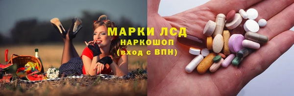 индика Беломорск